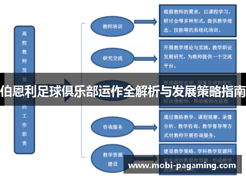 伯恩利足球俱乐部运作全解析与发展策略指南 伯恩利足球俱乐部运作全解析与发展策略指南