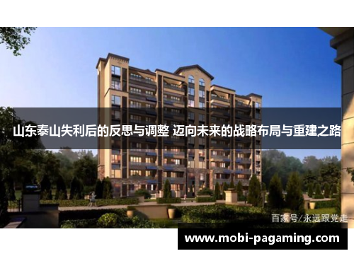 山东泰山失利后的反思与调整 迈向未来的战略布局与重建之路 山东泰山失利后的反思与调整 迈向未来的战略布局与重建之路