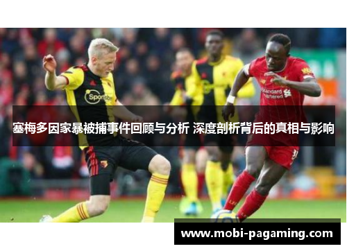 塞梅多因家暴被捕事件回顾与分析 深度剖析背后的真相与影响 塞梅多因家暴被捕事件回顾与分析 深度剖析背后的真相与影响