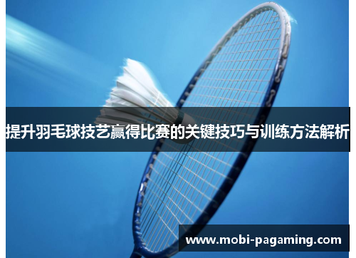 提升羽毛球技艺赢得比赛的关键技巧与训练方法解析 提升羽毛球技艺赢得比赛的关键技巧与训练方法解析