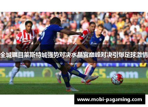 全城瞩目莱斯特城强势对决水晶宫巅峰对决引爆足球激情 全城瞩目莱斯特城强势对决水晶宫巅峰对决引爆足球激情