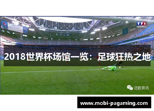 2018世界杯场馆一览:足球狂热之地 2018世界杯场馆一览:足球狂热之地