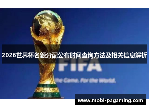 2026世界杯名额分配公布时间查询方法及相关信息解析 2026世界杯名额分配公布时间查询方法及相关信息解析