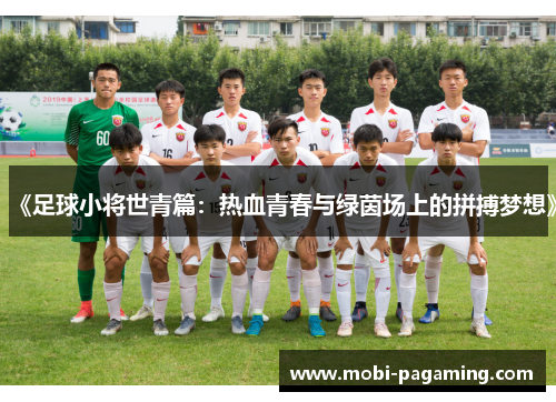 《足球小将世青篇:热血青春与绿茵场上的拼搏梦想》 《足球小将世青篇:热血青春与绿茵场上的拼搏梦想》