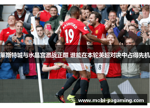 莱斯特城与水晶宫激战正酣 谁能在本轮英超对决中占得先机 莱斯特城与水晶宫激战正酣 谁能在本轮英超对决中占得先机