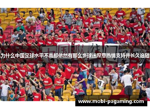 为什么中国足球水平不高却依然有那么多球迷愿意热情支持并长久追随 为什么中国足球水平不高却依然有那么多球迷愿意热情支持并长久追随