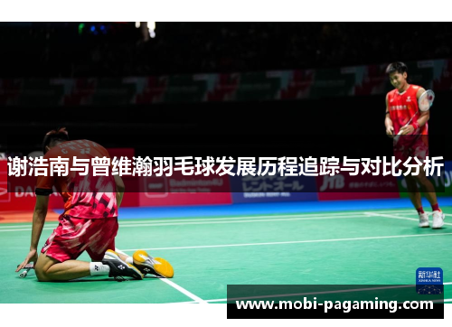 谢浩南与曾维瀚羽毛球发展历程追踪与对比分析 谢浩南与曾维瀚羽毛球发展历程追踪与对比分析