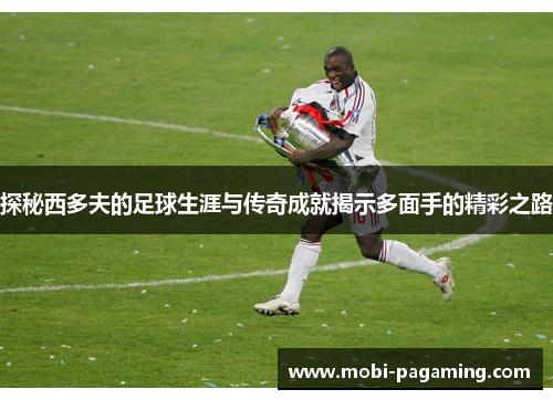 探秘西多夫的足球生涯与传奇成就揭示多面手的精彩之路 探秘西多夫的足球生涯与传奇成就揭示多面手的精彩之路