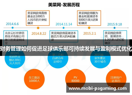 财务管理如何促进足球俱乐部可持续发展与盈利模式优化 财务管理如何促进足球俱乐部可持续发展与盈利模式优化