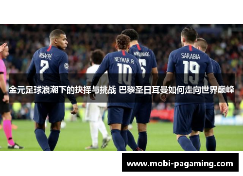 金元足球浪潮下的抉择与挑战 巴黎圣日耳曼如何走向世界巅峰