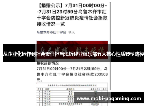 从企业化运作到社会责任担当浅析建业俱乐部五大核心性质转型路径