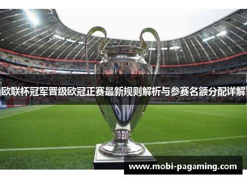 欧联杯冠军晋级欧冠正赛最新规则解析与参赛名额分配详解