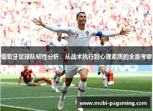 葡萄牙足球队韧性分析：从战术执行到心理素质的全面考察