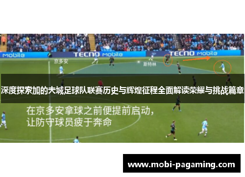 深度探索加的夫城足球队联赛历史与辉煌征程全面解读荣耀与挑战篇章