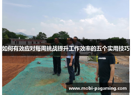 如何有效应对每周挑战提升工作效率的五个实用技巧