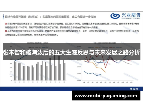 张本智和被淘汰后的五大生涯反思与未来发展之路分析