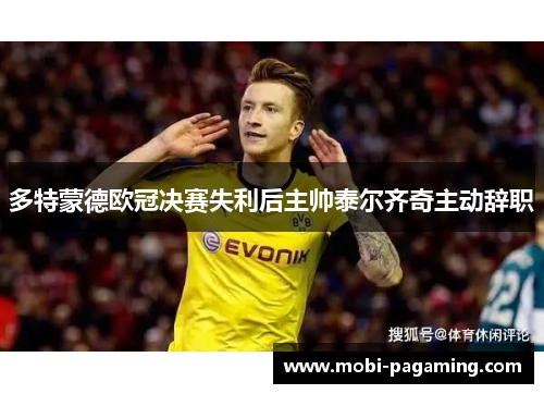 多特蒙德欧冠决赛失利后主帅泰尔齐奇主动辞职 多特蒙德欧冠决赛失利后主帅泰尔齐奇主动辞职