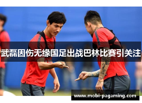 武磊因伤无缘国足出战巴林比赛引关注 武磊因伤无缘国足出战巴林比赛引关注