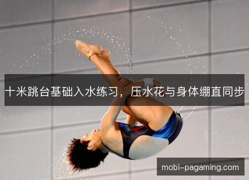 /works/1341.html